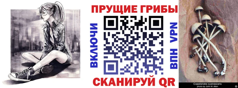 Галлюциногенные грибы Magic Shrooms  наркота  Ковров 