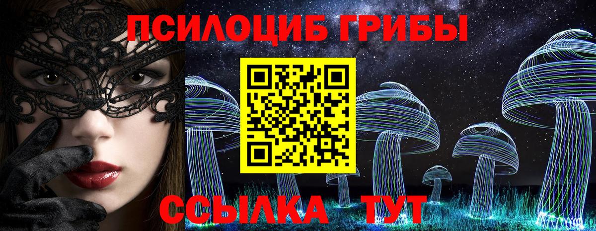 Ковров  Галлюциногенные грибы Psilocybine cubensis  Вход с VPN 
