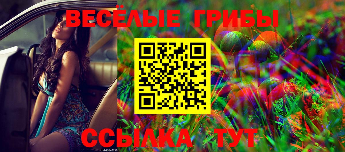 Галлюциногенные грибы прущие грибы Ковров